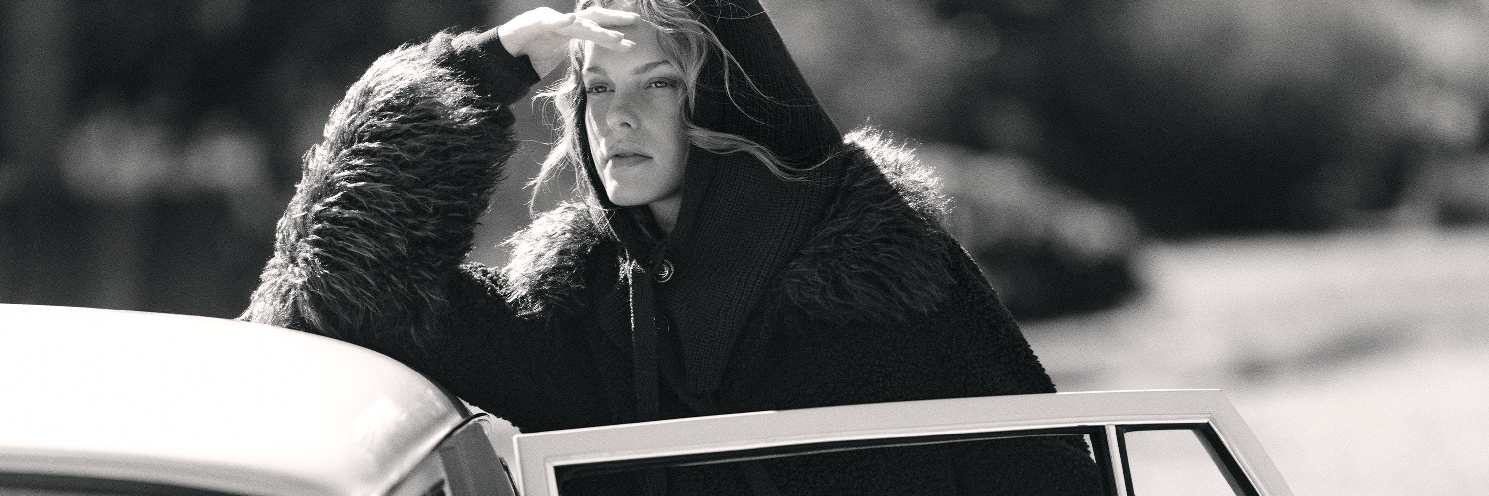 Teddy