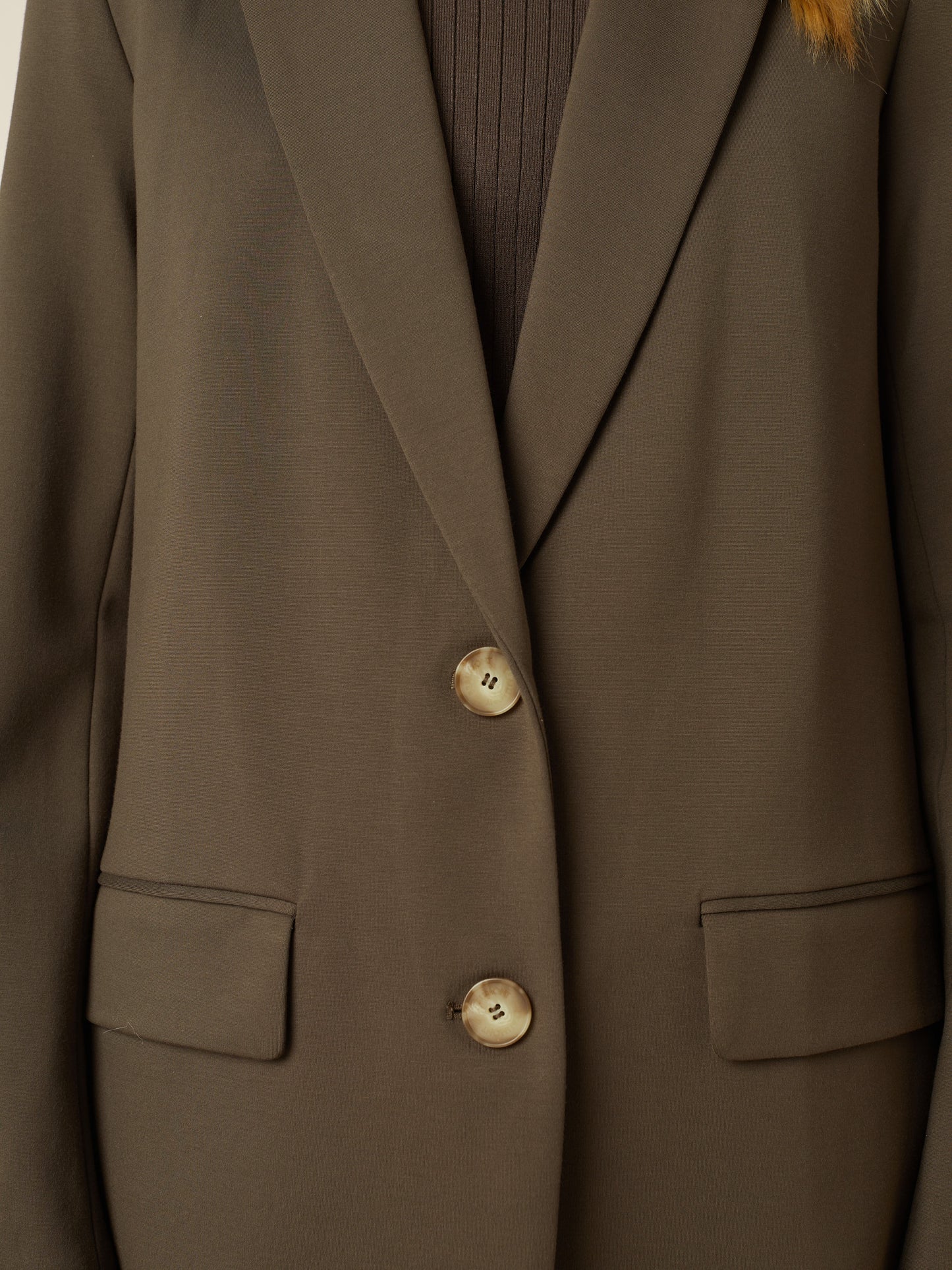 ASH blazer - Crocodile