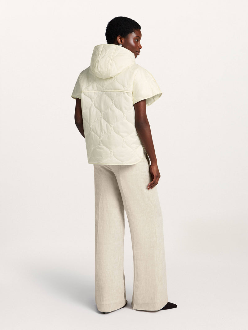 Cassia Body