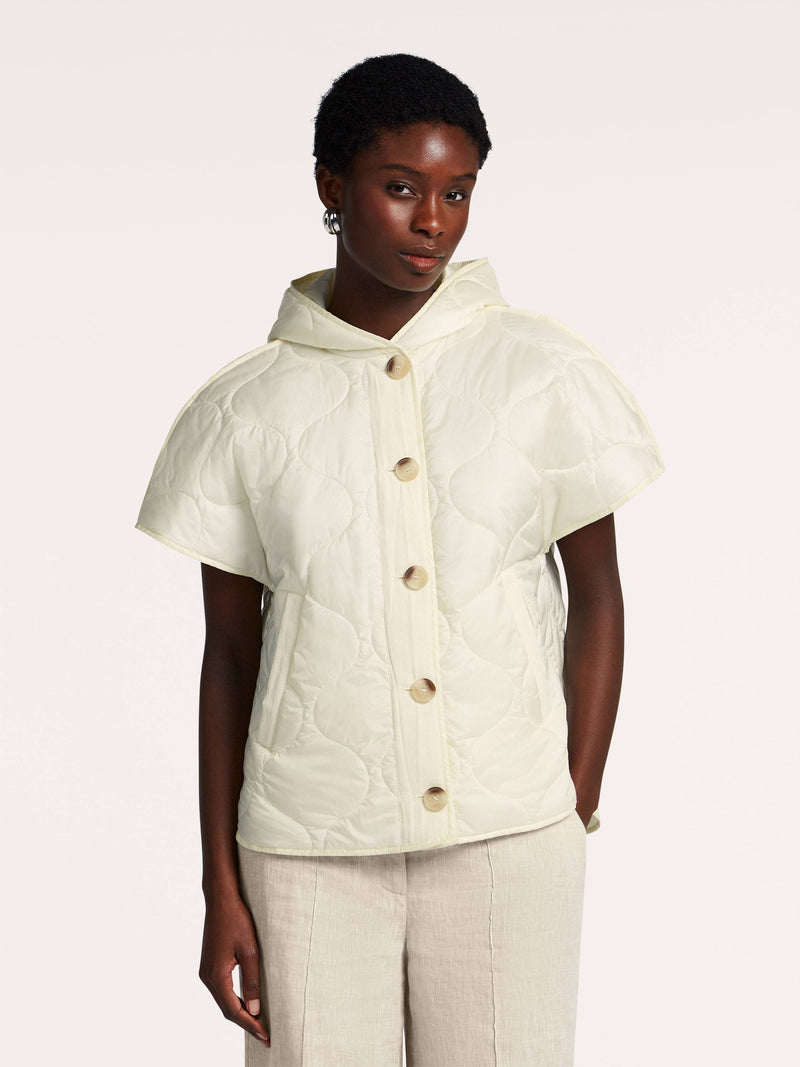 Cassia Body