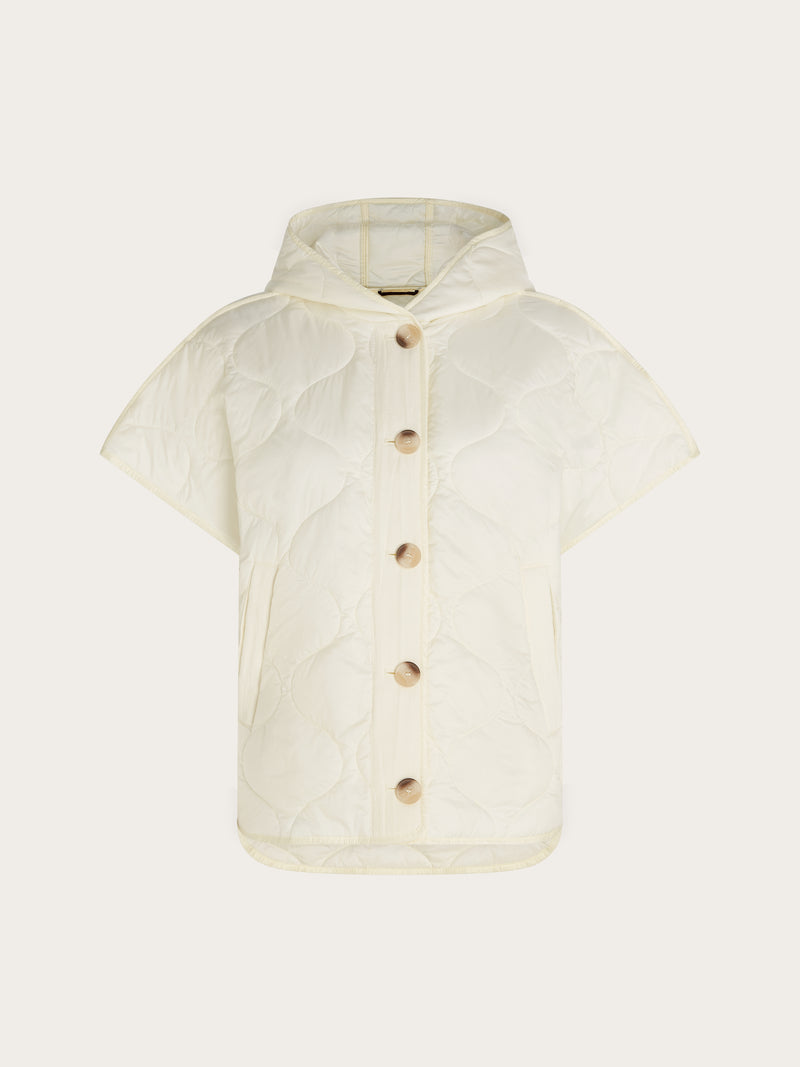 Cassia Body