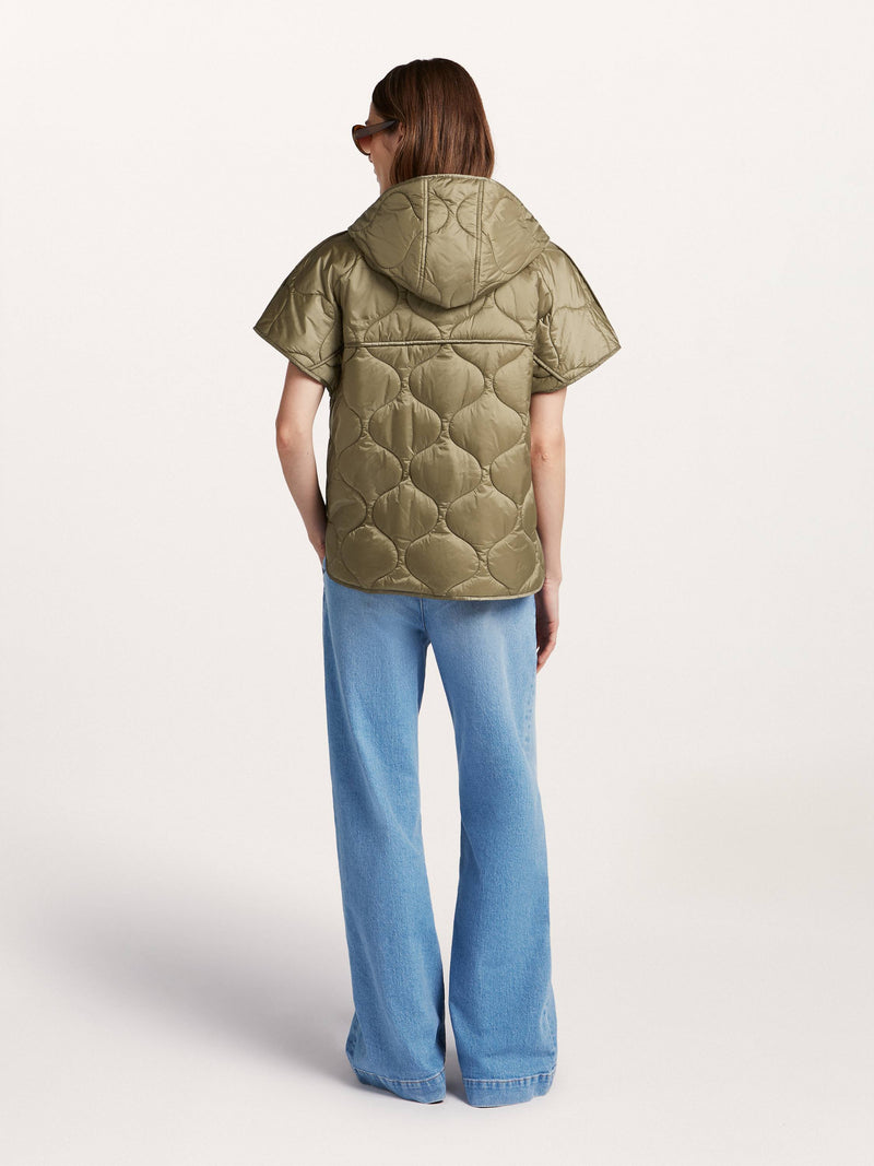 Cassia Body