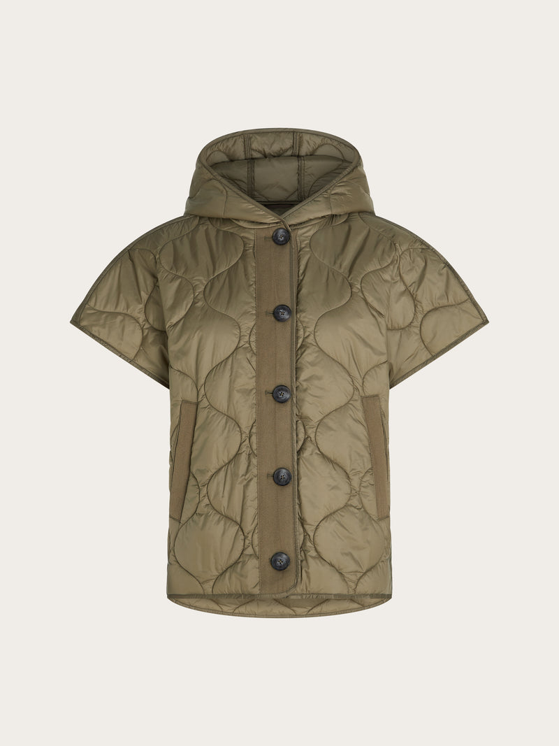 Cassia Body