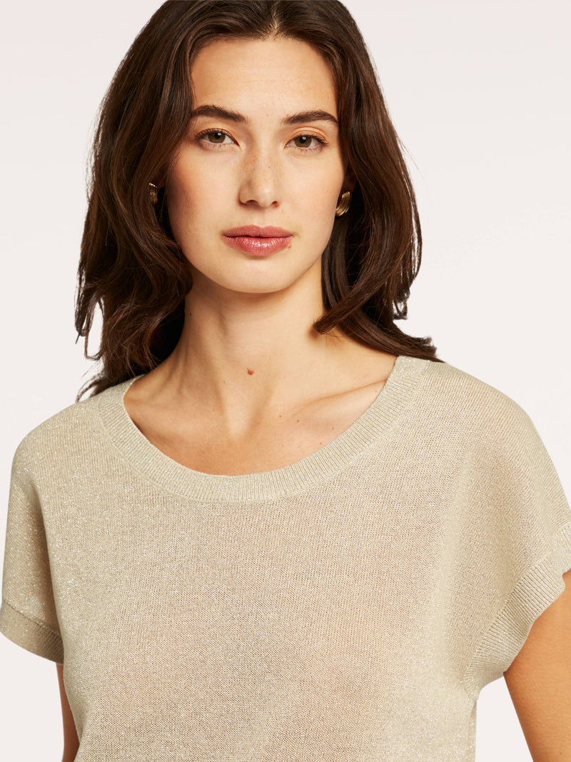 Dion Pullover lurex