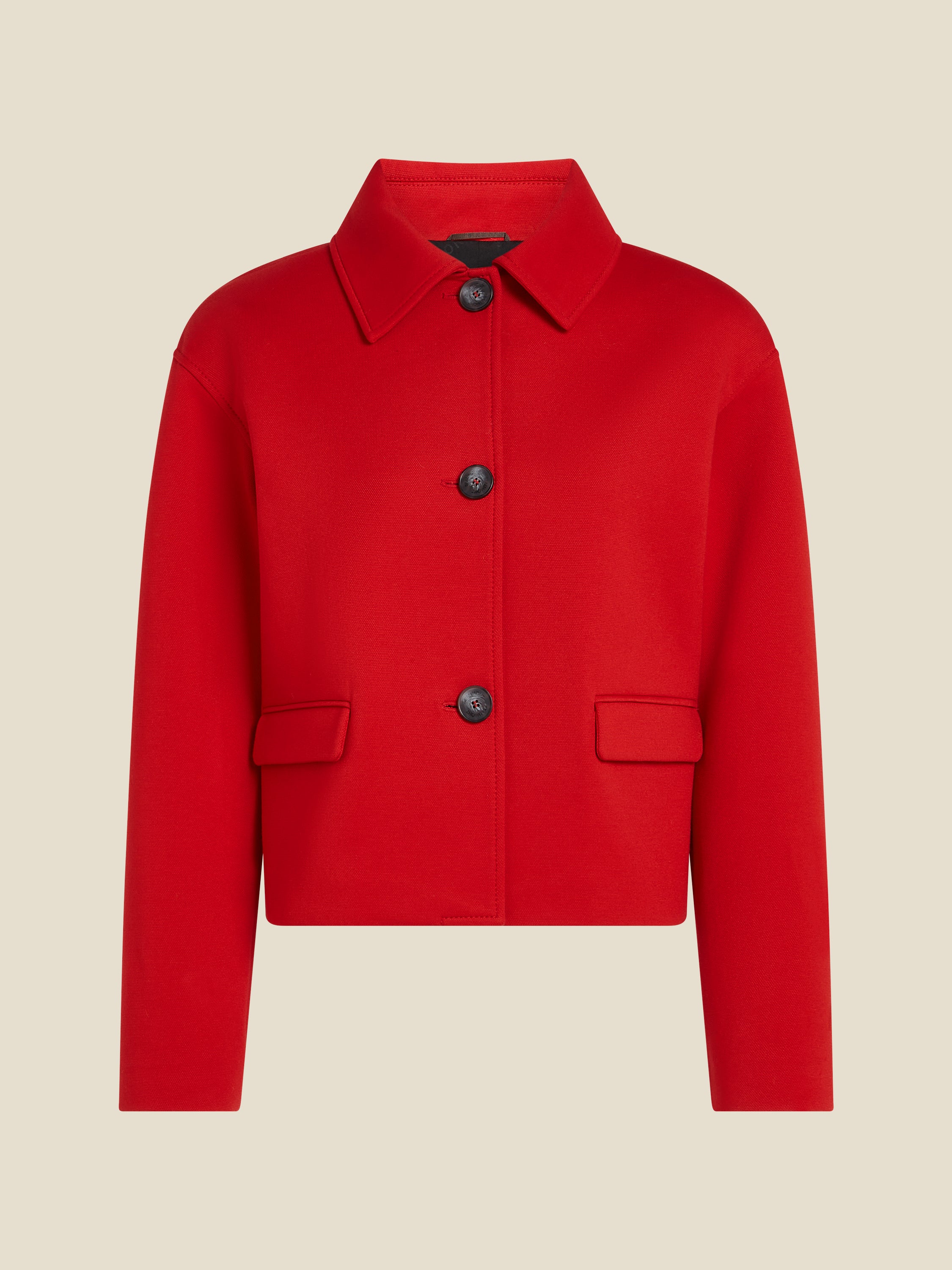 Paola Blazer